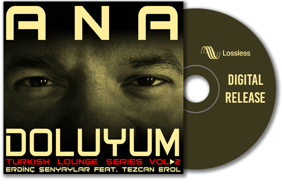 2024 - Ana Doluyum (Vol. 2)